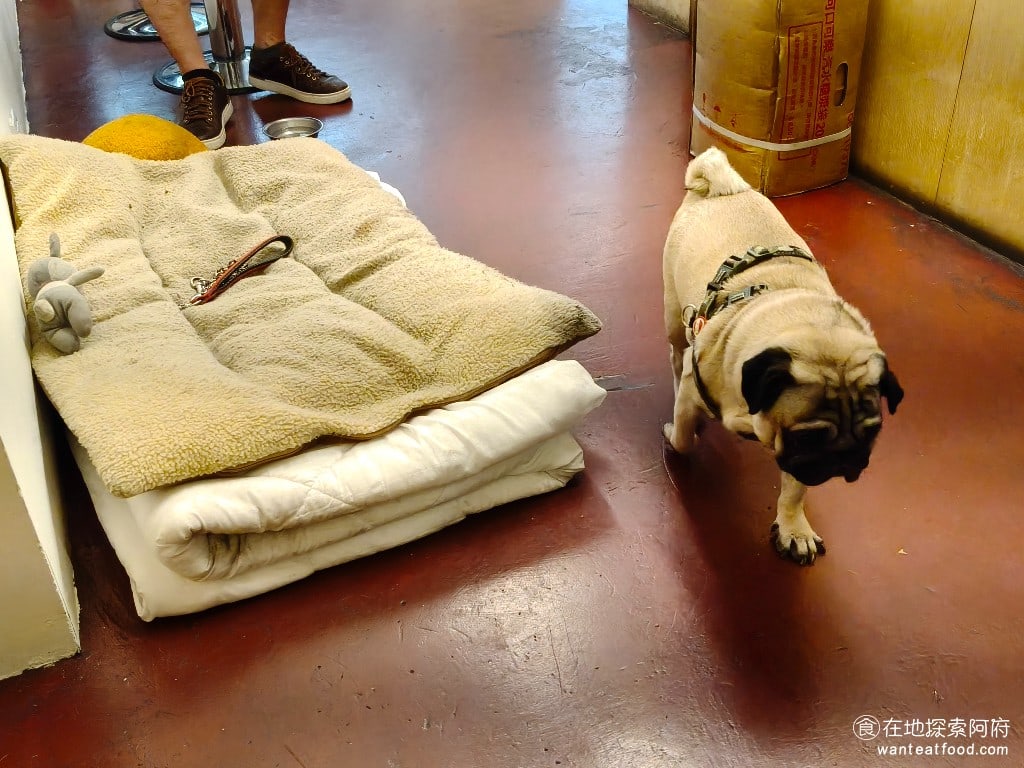 Three,Pugs,三巴漢堡,by,巴巴餐車,Three,Pugs,三巴漢堡,by,巴巴餐車菜單,Three,Pugs,三巴漢堡,by,巴巴餐車價格,大安區美食,大安美食,忠孝復興美食,美式料理,漢堡,炸雞,炸雞 狗狗的性情很溫和，只不過拍照的速度要很快，因為當牠看到你在拍牠的時候，牠就會躲鏡頭。 @在地探索的阿府美食世界