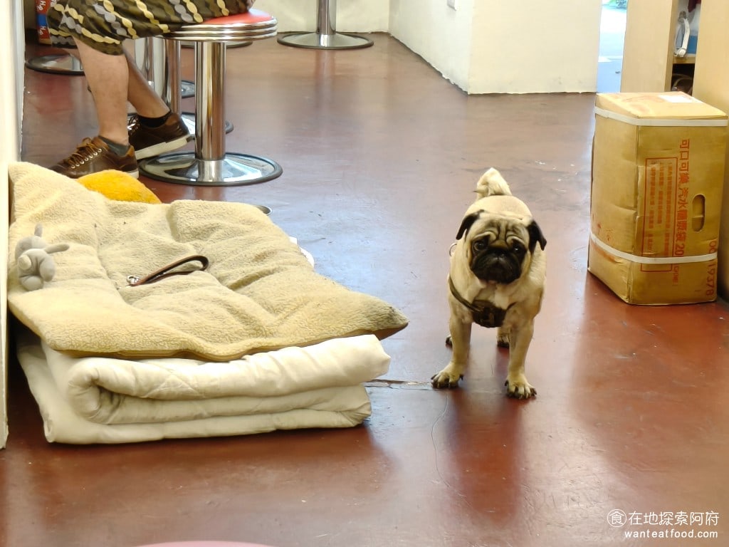Three,Pugs,三巴漢堡,by,巴巴餐車,Three,Pugs,三巴漢堡,by,巴巴餐車菜單,Three,Pugs,三巴漢堡,by,巴巴餐車價格,大安區美食,大安美食,忠孝復興美食,美式料理,漢堡,炸雞,炸雞 說到店狗巴巴，網路上很多人說，他是一言不合就翹班的小老闆，因為狗狗有時候會不見蹤影，讓特地來訪的客人撲空。 @在地探索的阿府美食世界